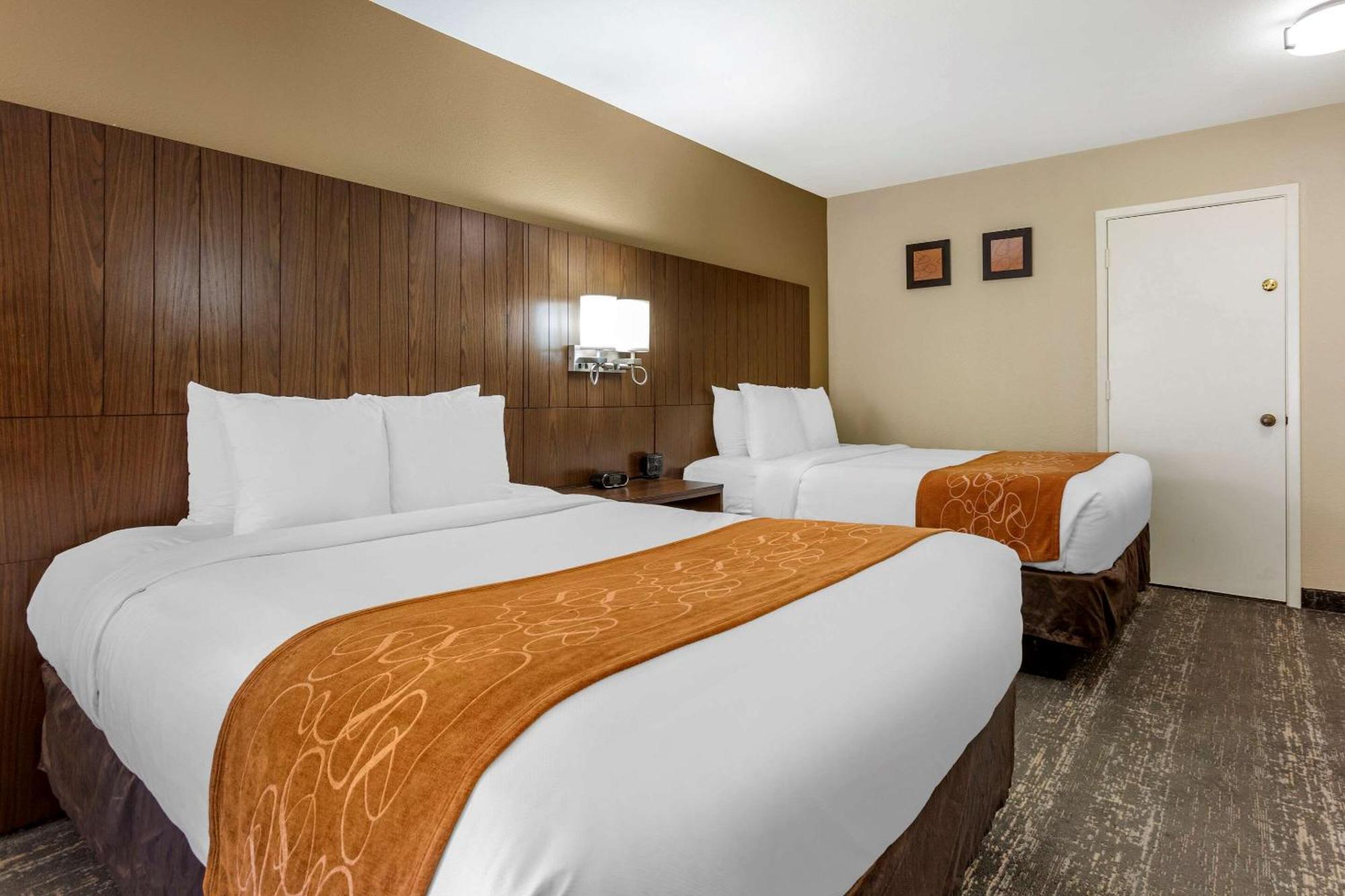 Standard Double Suite,1697868447:JPEG
