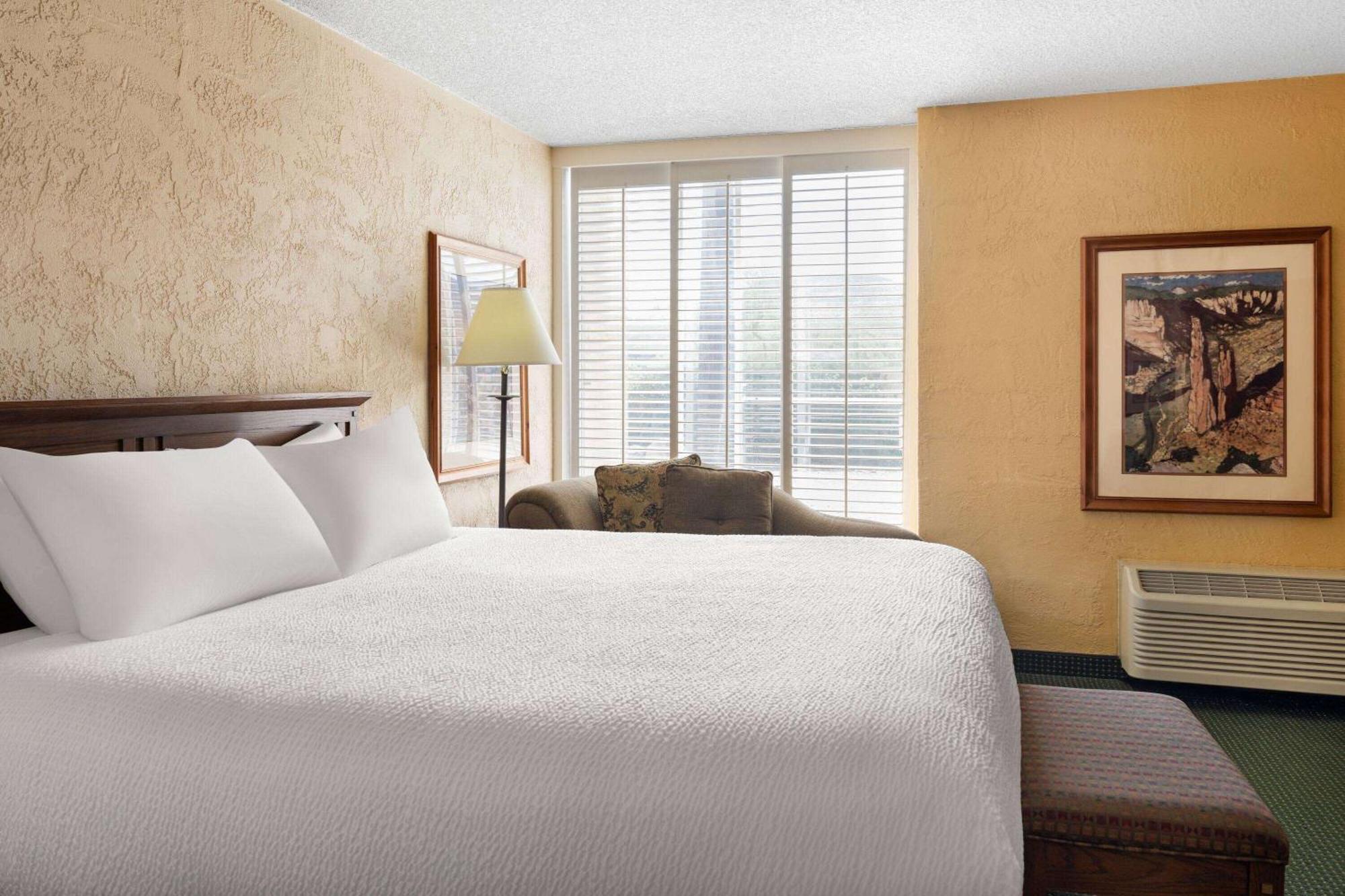 One-Bedroom Deluxe King Suite - Non-Smoking